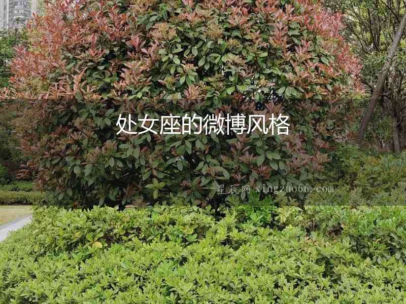 處女座的微博風(fēng)格