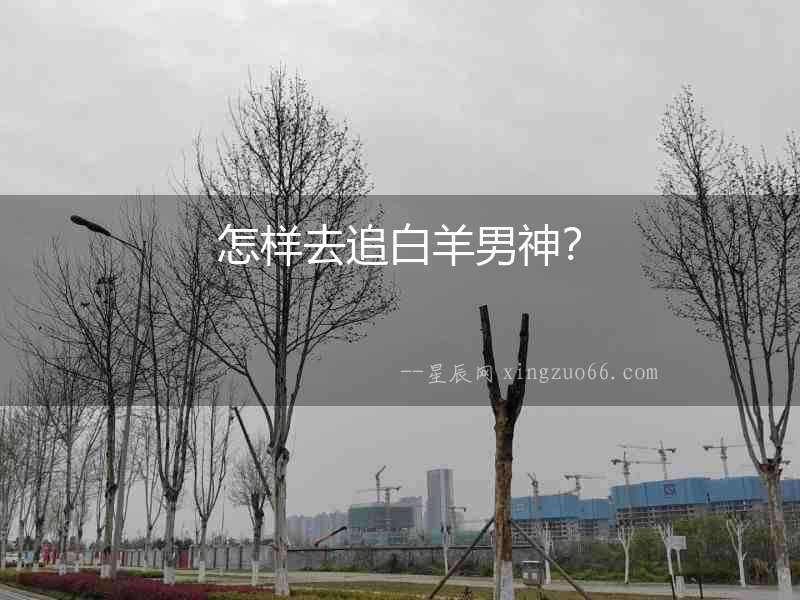 怎樣去追白羊男神？