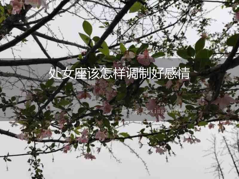 處女座該怎樣調(diào)制好感情