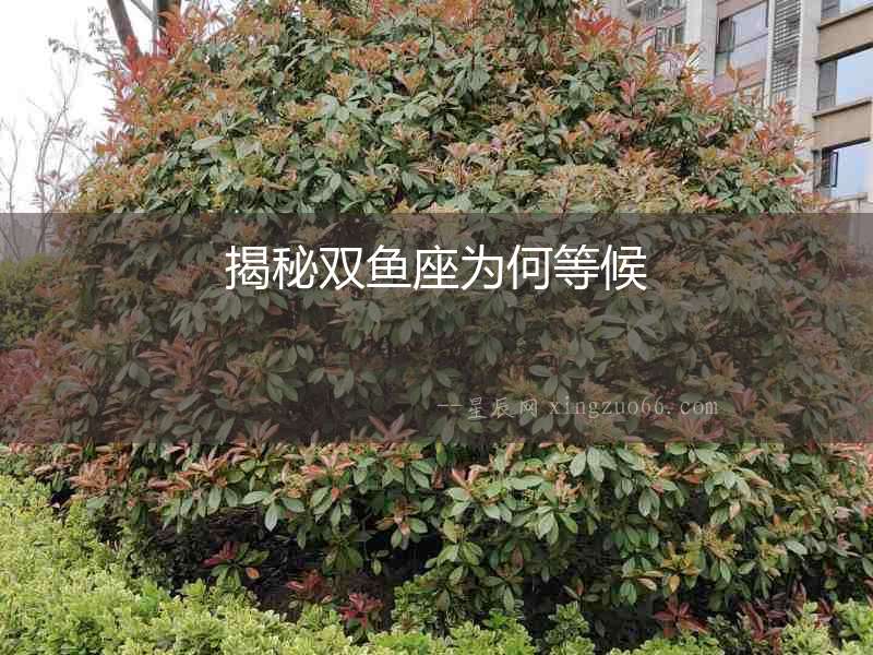 揭秘雙魚座為何等候