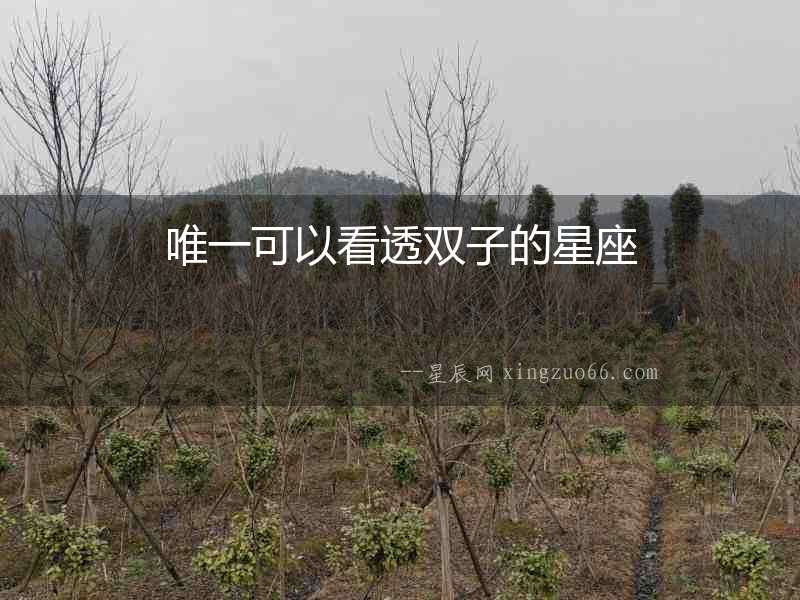 唯一可以看透雙子的星座