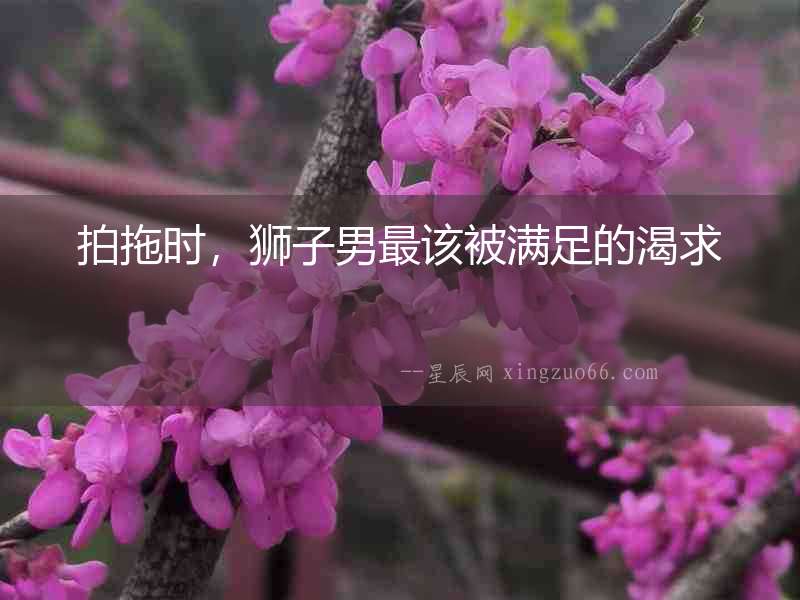 拍拖時，獅子男最該被滿足的渴求