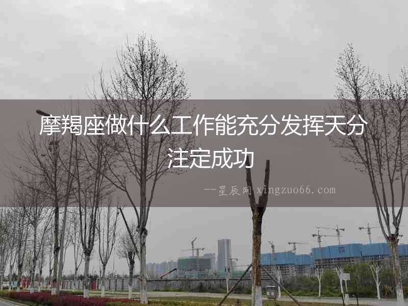 摩羯座做什么工作能充分發揮天分  注定成功
