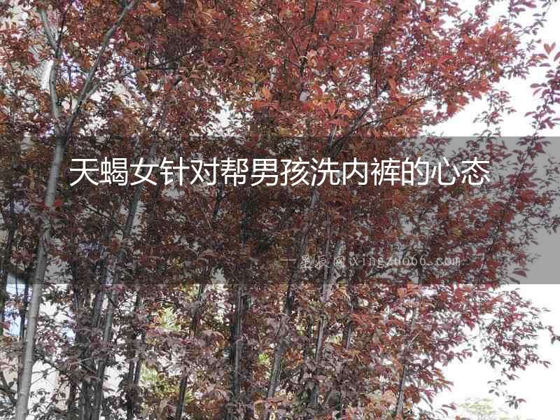 天蝎女針對幫男孩洗內褲的心態