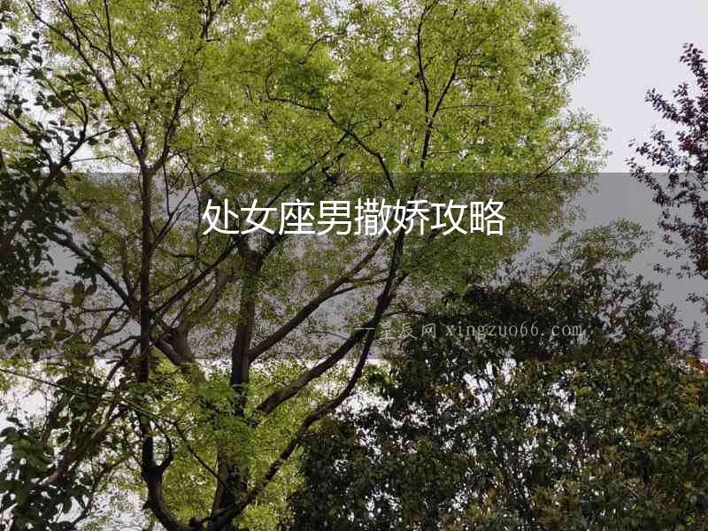 處女座男撒嬌攻略