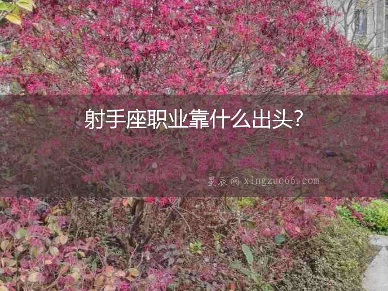 射手座職業靠什么出頭？