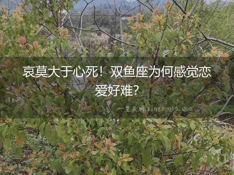 哀莫大于心死！雙魚座為何感覺戀愛好難？
