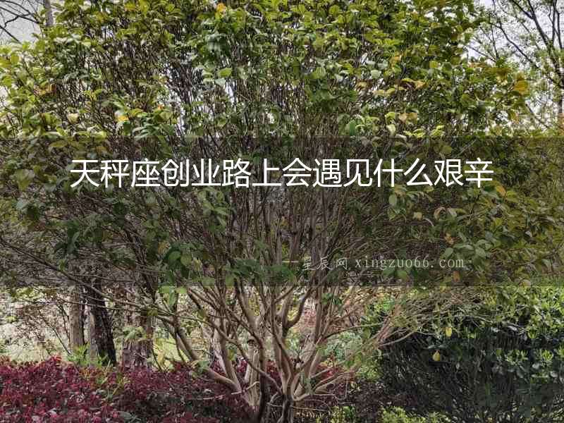 天秤座創(chuàng)業(yè)路上會(huì)遇見什么艱辛