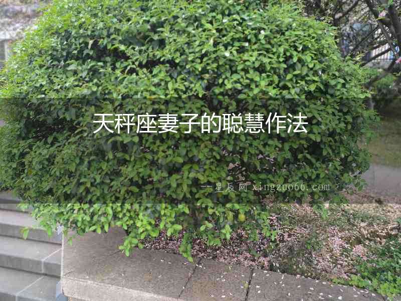天秤座妻子的聰慧作法