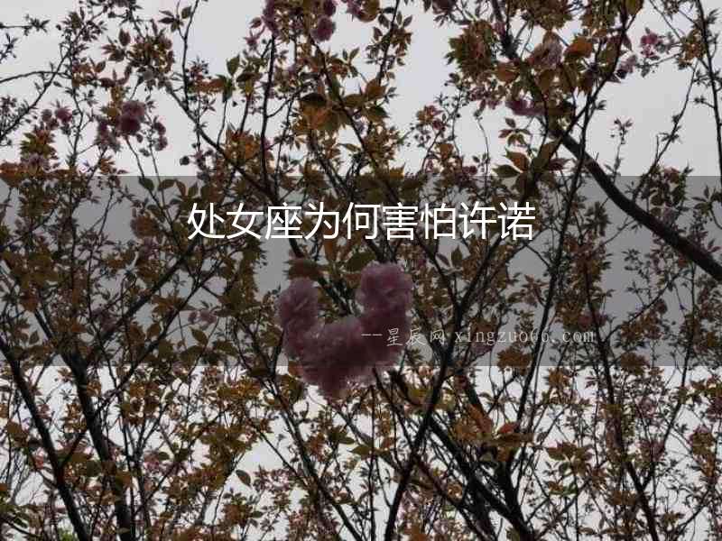 處女座為何害怕許諾