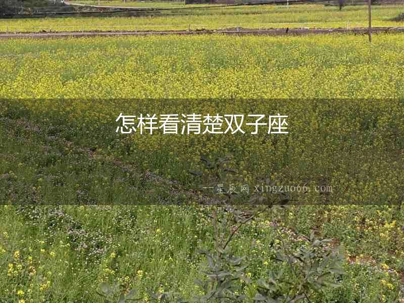 怎樣看清楚雙子座