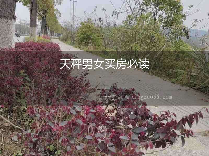 天秤男女買房必讀
