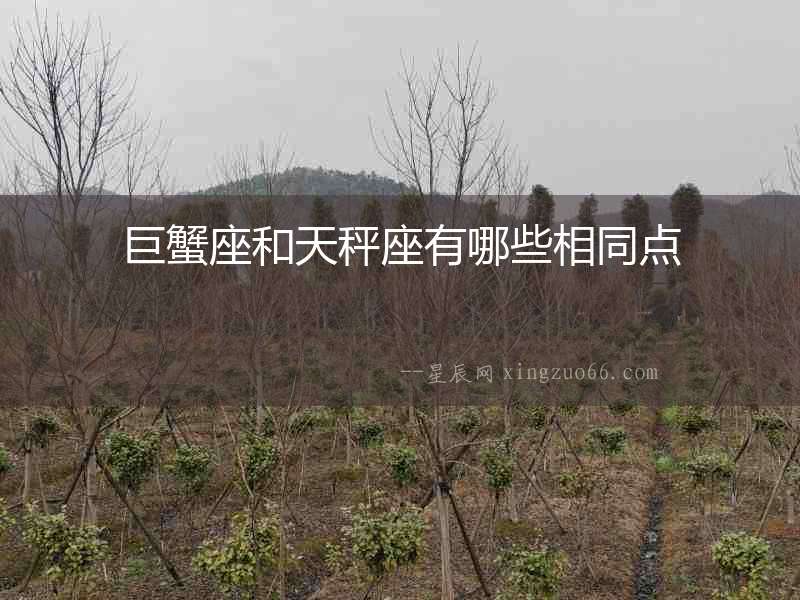 巨蟹座和天秤座有哪些相同點