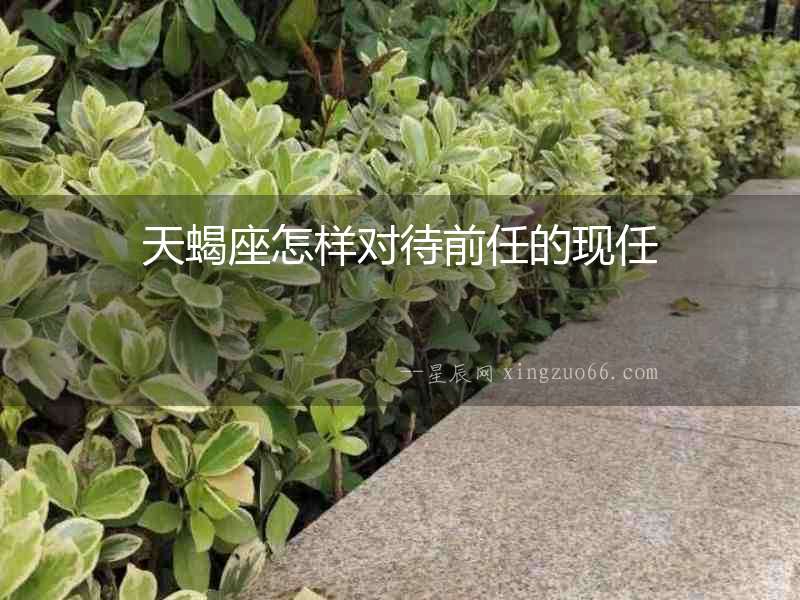 天蝎座怎樣對待前任的現任