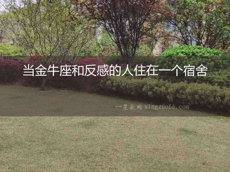 當金牛座和反感的人住在一個宿舍