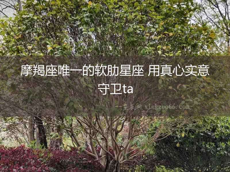 摩羯座唯一的軟肋星座 用真心實意守衛ta