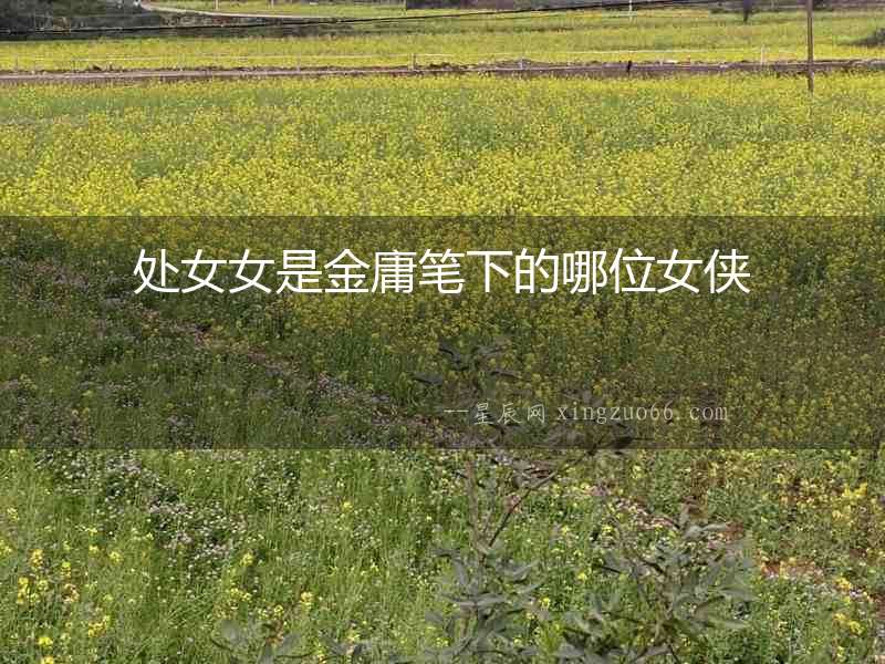 處女女是金庸筆下的哪位女俠