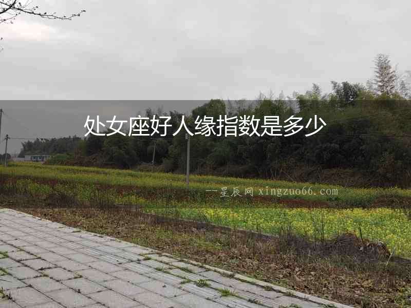 處女座好人緣指數(shù)是多少