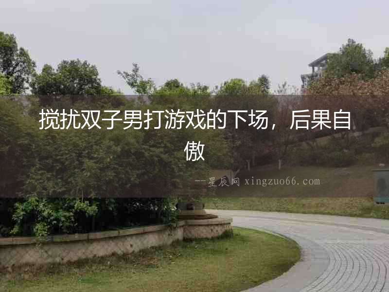 攪擾雙子男打游戲的下場，后果自傲