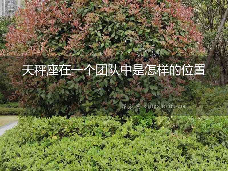 天秤座在一個(gè)團(tuán)隊(duì)中是怎樣的位置
