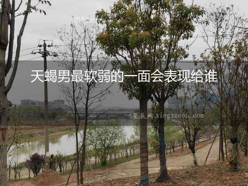 天蝎男最軟弱的一面會表現(xiàn)給誰