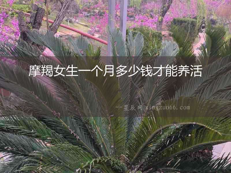 摩羯女生一個月多少錢才能養活