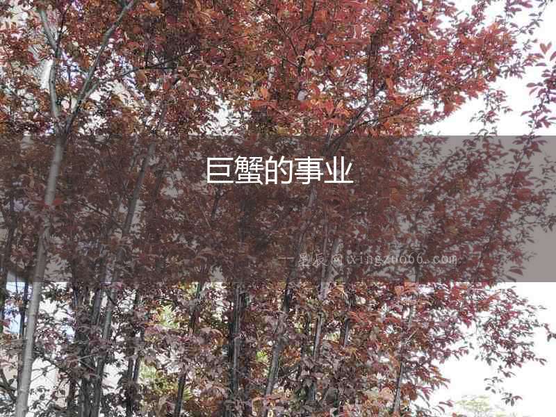 巨蟹的事業(yè)