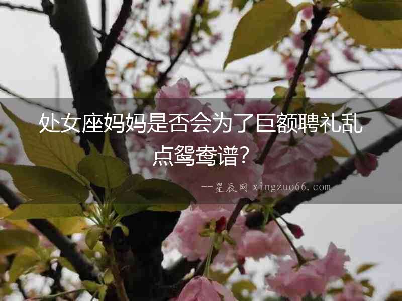 處女座媽媽是否會為了巨額聘禮亂點鴛鴦譜？