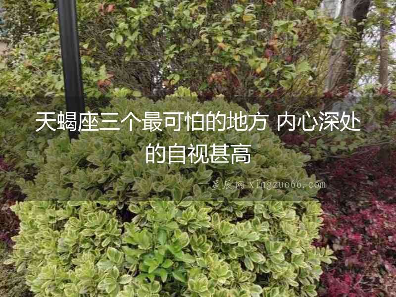 天蝎座三個最可怕的地方 內(nèi)心深處的自視甚高
