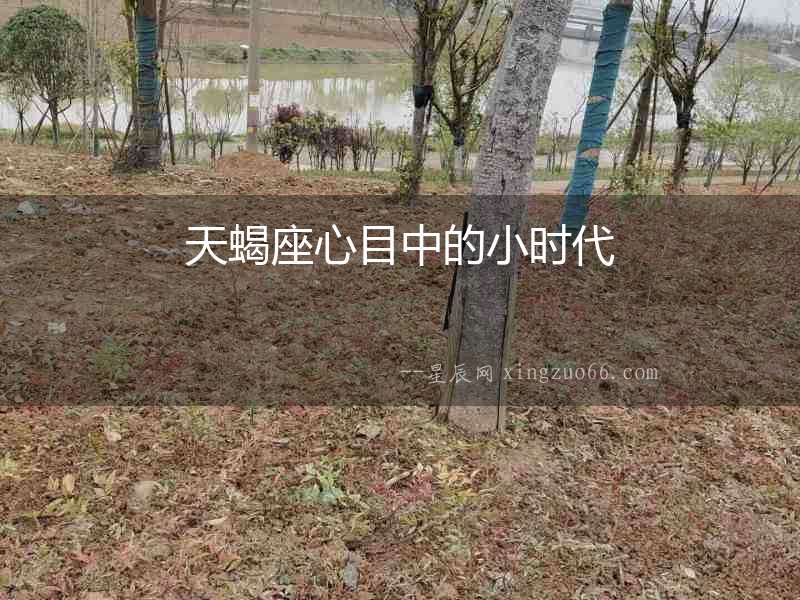 天蝎座心目中的小時代