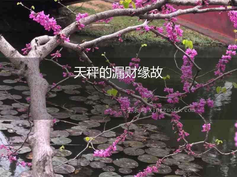 天秤的漏財緣故