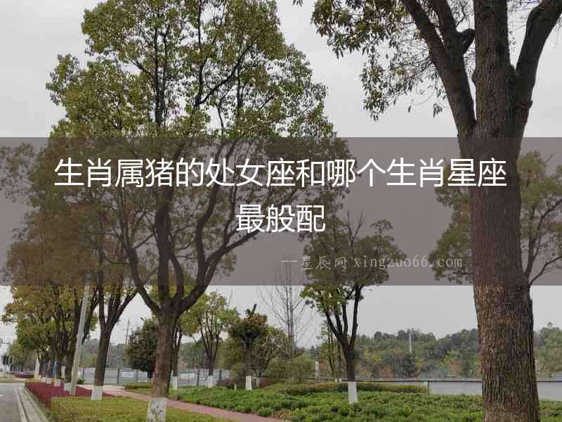 生肖屬豬的處女座和哪個生肖星座最般配