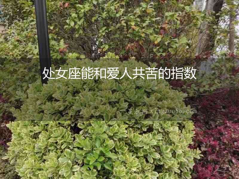 處女座能和愛(ài)人共苦的指數(shù)