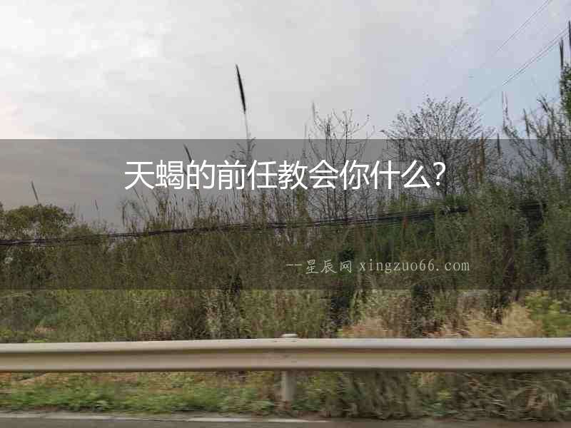 天蝎的前任教會你什么？