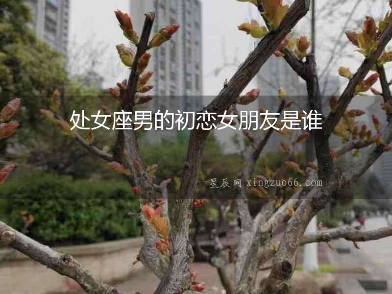處女座男的初戀女朋友是誰