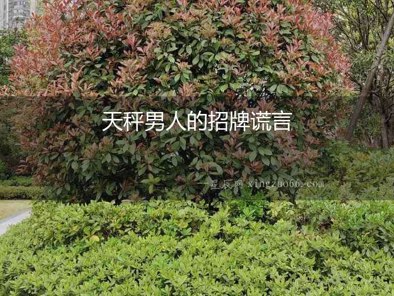 天秤男人的招牌謊言