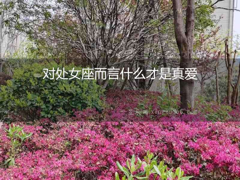 對(duì)處女座而言什么才是真愛(ài)