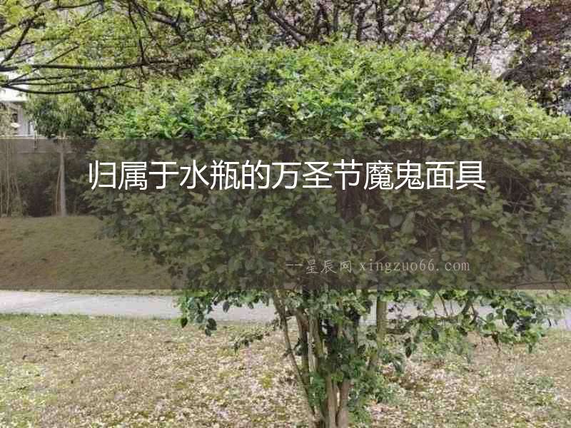 歸屬于水瓶的萬圣節魔鬼面具