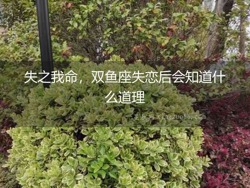 失之我命，雙魚座失戀后會知道什么道理