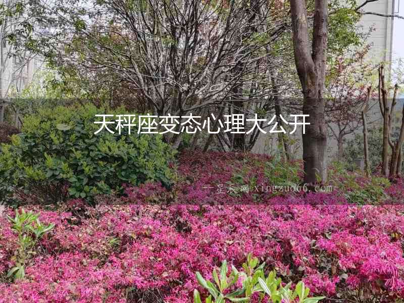 天秤座變態心理大公開