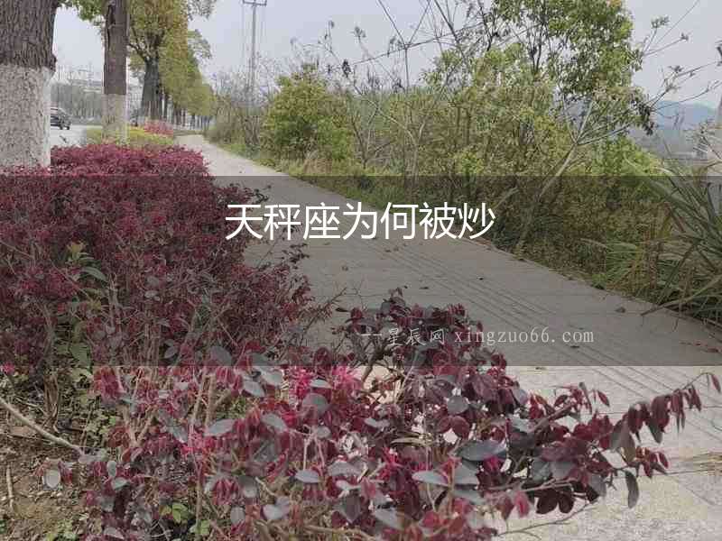 天秤座為何被炒