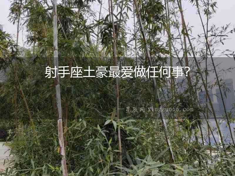 射手座土豪最愛做任何事？