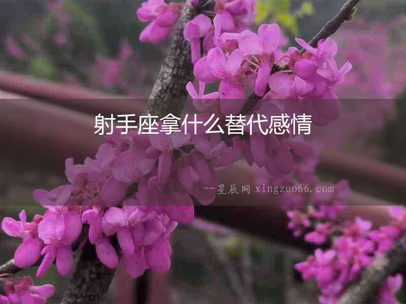 射手座拿什么替代感情