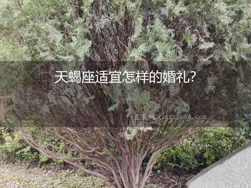 天蝎座適宜怎樣的婚禮？
