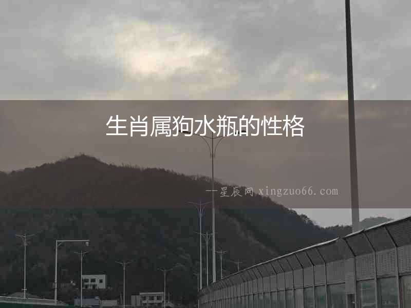 生肖屬狗水瓶的性格
