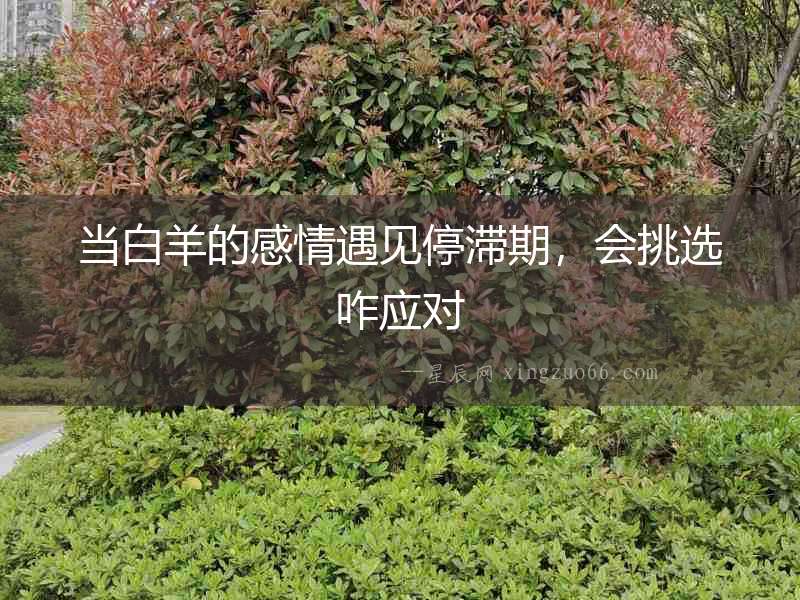 當白羊的感情遇見停滯期，會挑選咋應對