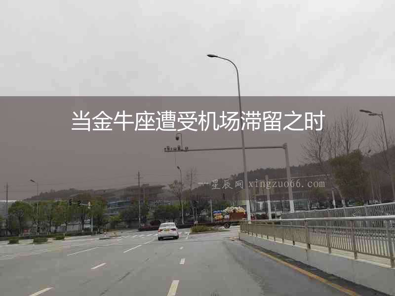 當金牛座遭受機場滯留之時