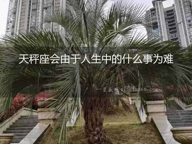 天秤座會由于人生中的什么事為難