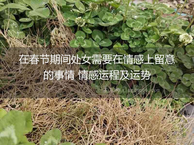 在春節(jié)期間處女需要在情感上留意的事情 情感運(yùn)程及運(yùn)勢