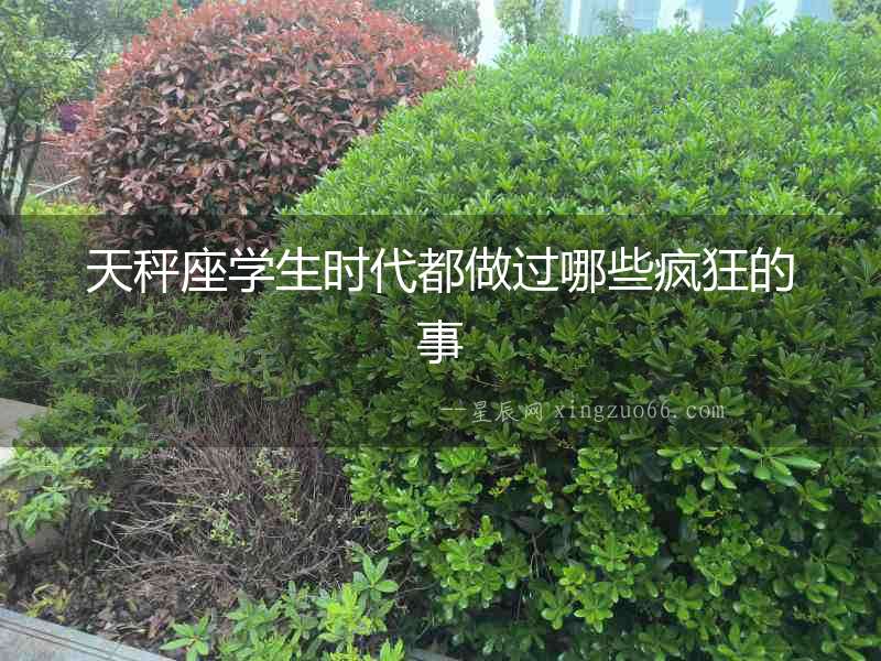 天秤座學生時代都做過哪些瘋狂的事